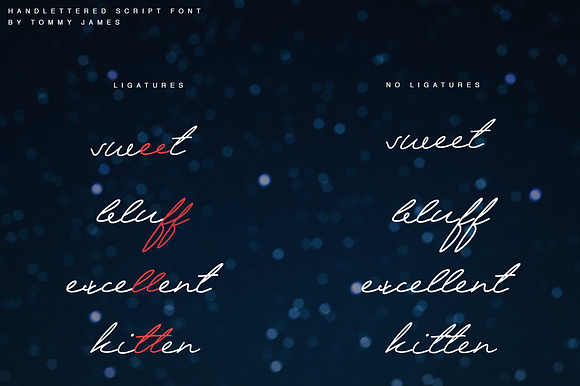 The Yellon Script Font in Script Fonts - product preview 6