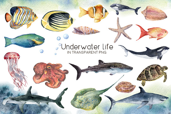 Underwater. Watercolor clip art in Illustrations - product preview 2