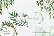 Willow branches Watercolor png