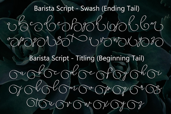 Barista Script in Script Fonts - product preview 5