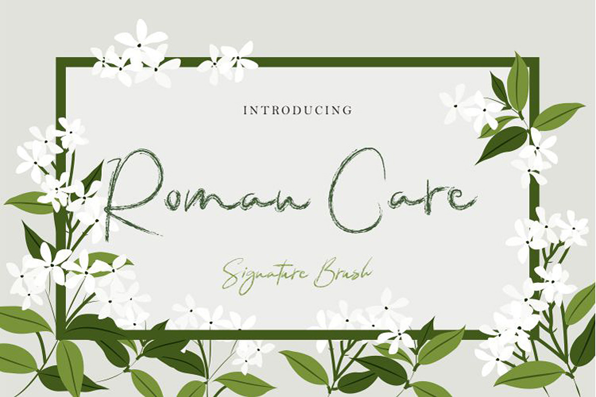RomanCare in Script Fonts - product preview 8