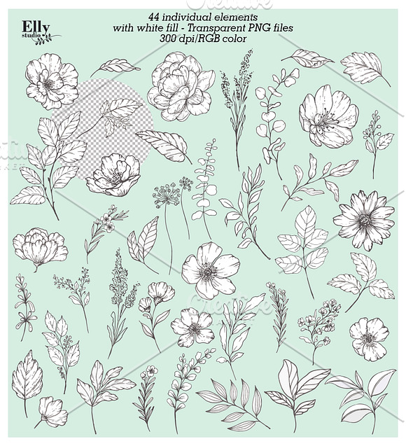 Modern Floral Graphic Collection in Illustrations - product preview 8