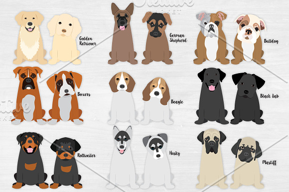 Dog & Puppy Illustrations - Revised in Illustrations - product preview 1