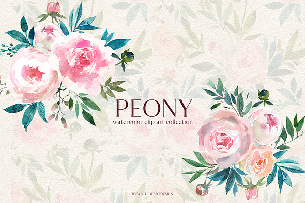 Peony Watercolor Floral Clipart
