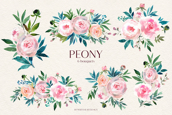 Peony Watercolor Floral Clipart in Illustrations - product preview 1
