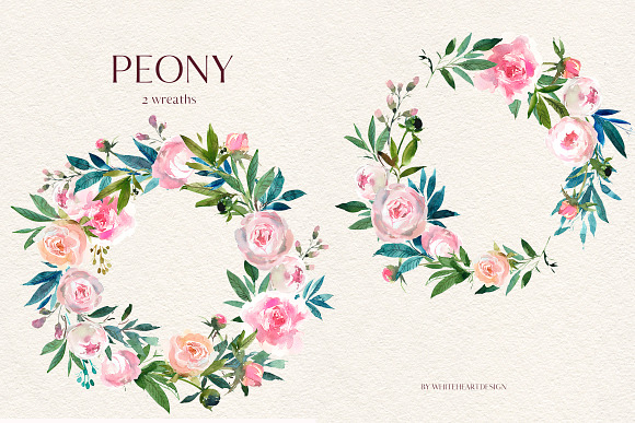 Peony Watercolor Floral Clipart in Illustrations - product preview 3