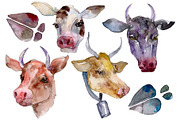 Farm animals: cow head Watercolor