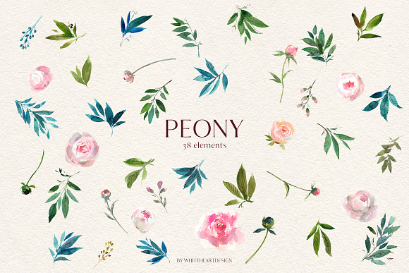 Peony Watercolor Floral Clipart in Illustrations - product preview 6