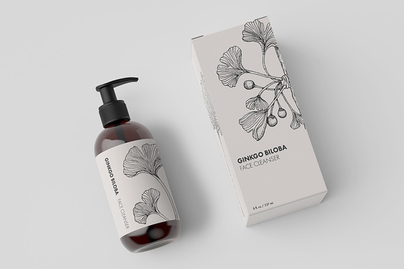 Botanical Illustrations in Illustrations - product preview 1
