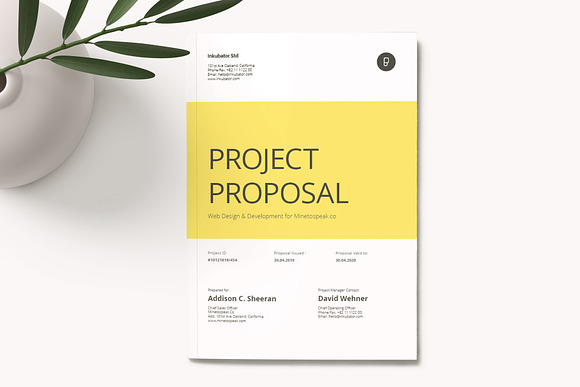 Project Proposal Bundle in Brochure Templates - product preview 3