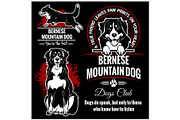 Bernese Mountain Dog - vector set