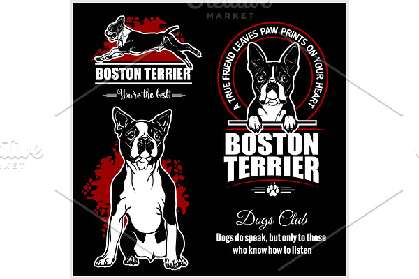 Boston Terrier - vector set for t