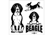 Beagle dog - vector set isolated