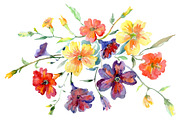 Bouquet flower boom watercolor png