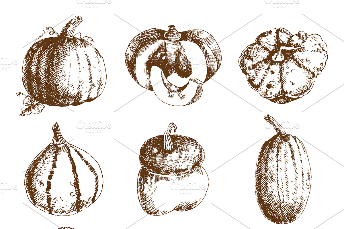 Pumpkin hand drawn icons set in Icons - product preview 8