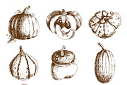 Pumpkin hand drawn icons set