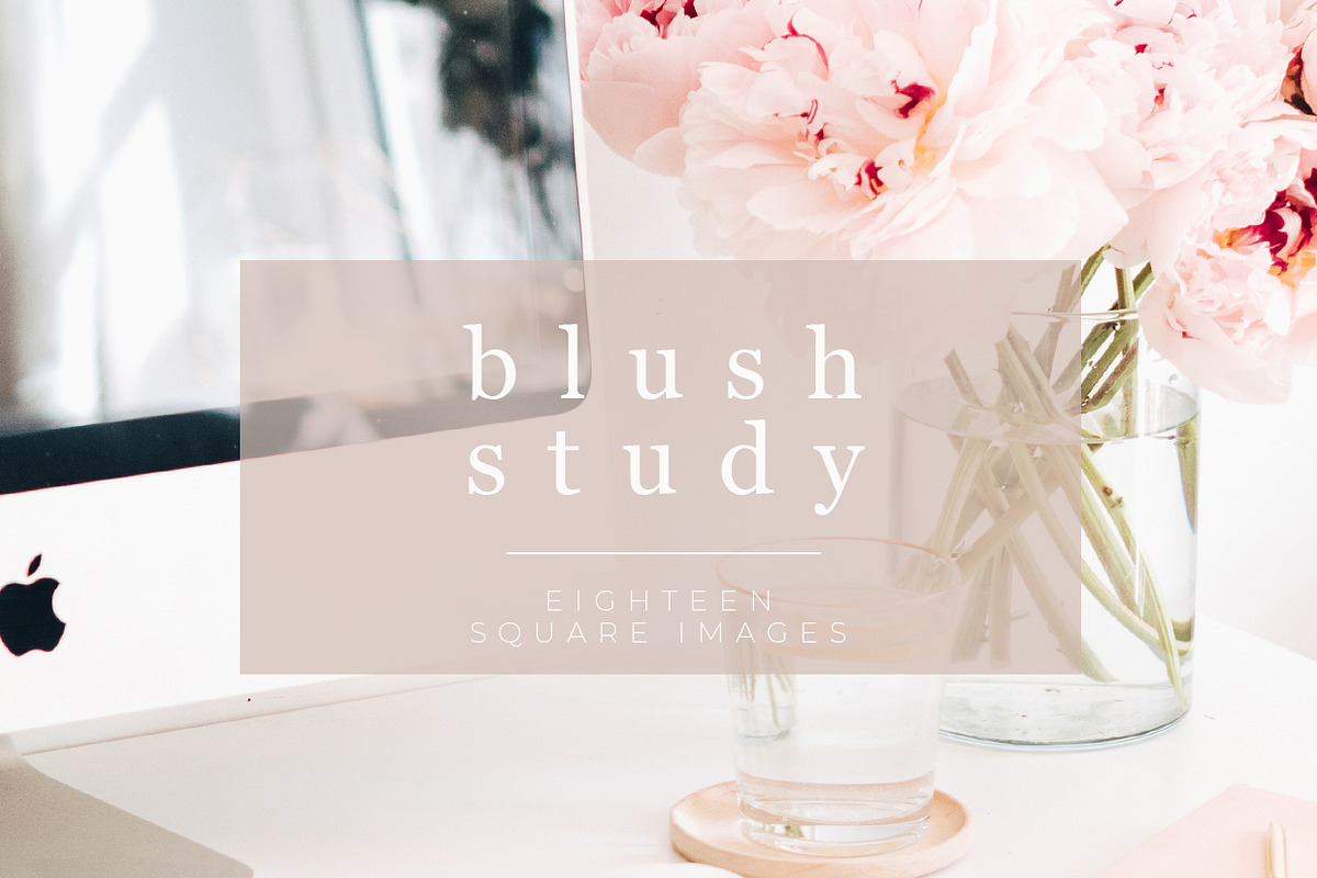 Bush Study Stock Bundle in Instagram Templates - product preview 8
