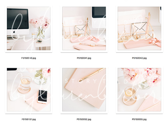 Bush Study Stock Bundle in Instagram Templates - product preview 1