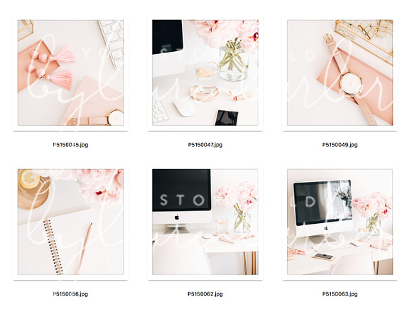 Bush Study Stock Bundle in Instagram Templates - product preview 2