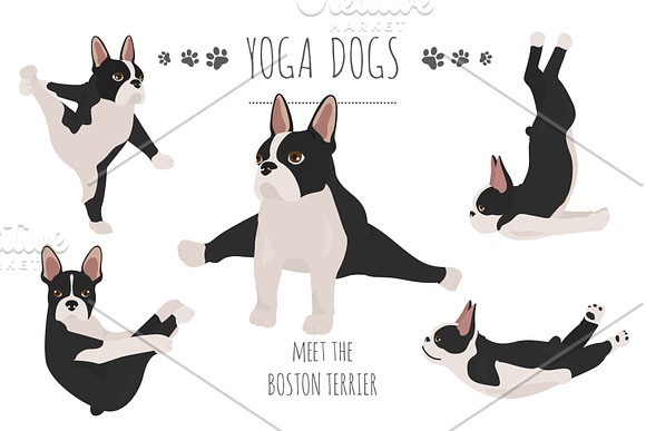 Yoga dogs collection (vol.2) in Illustrations - product preview 1
