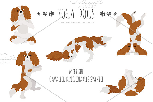 Yoga dogs collection (vol.2) in Illustrations - product preview 2