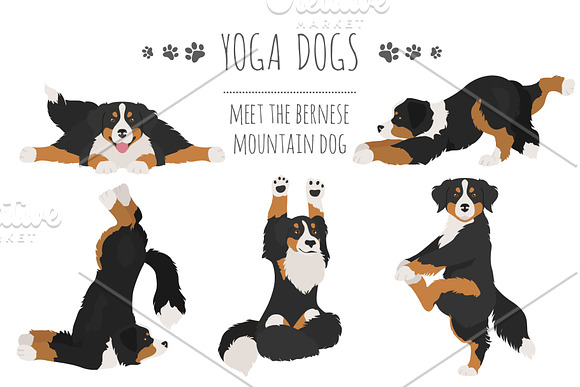 Yoga dogs collection (vol.2) in Illustrations - product preview 3