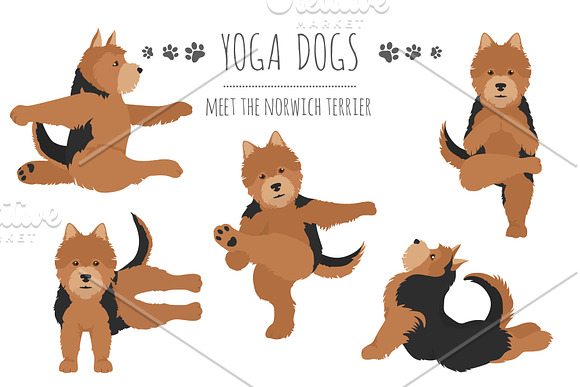 Yoga dogs collection (vol.2) in Illustrations - product preview 9