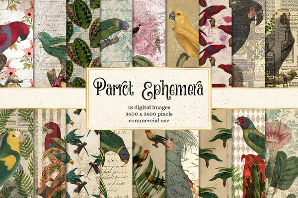 Parrot Ephemera Digital Paper
