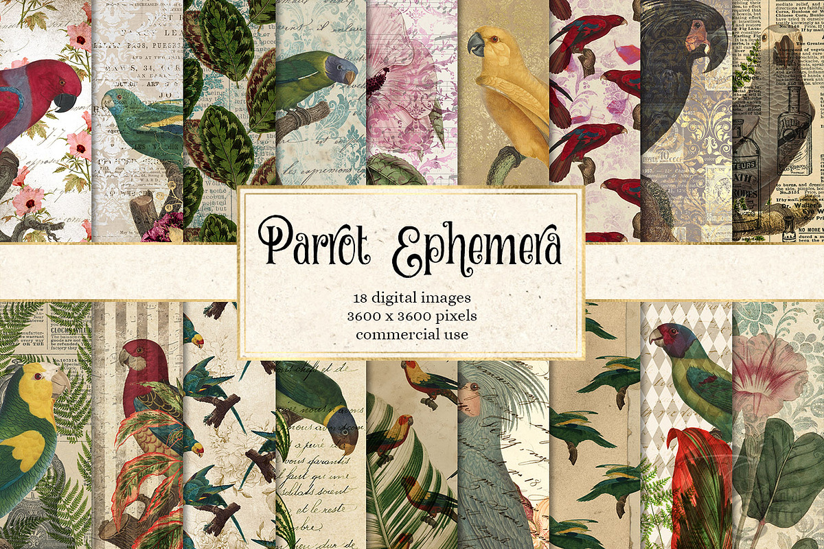 Parrot Ephemera Digital Paper in Textures - product preview 8
