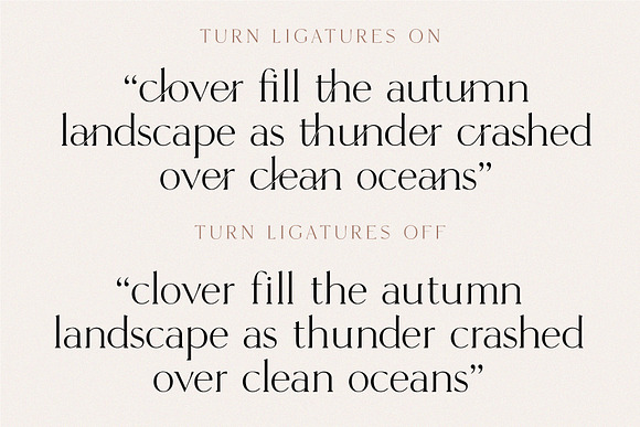 Hunter - Serif Ligature Font in Serif Fonts - product preview 5