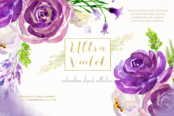 Watercolor Bundle. Floral 15 in 1 in Illustrations - product preview 14