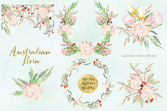 Watercolor Bundle. Floral 15 in 1 in Illustrations - product preview 16