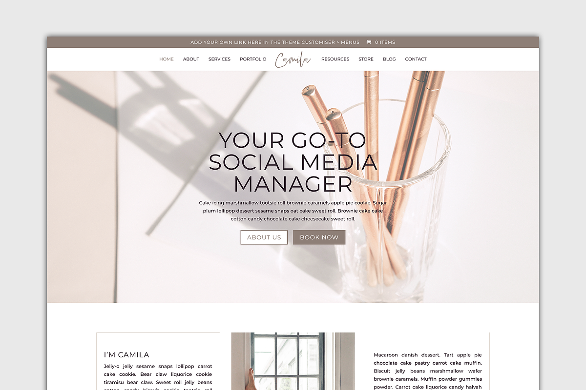 The Camila - Wordpress Divi Theme in WordPress Business Themes - product preview 8