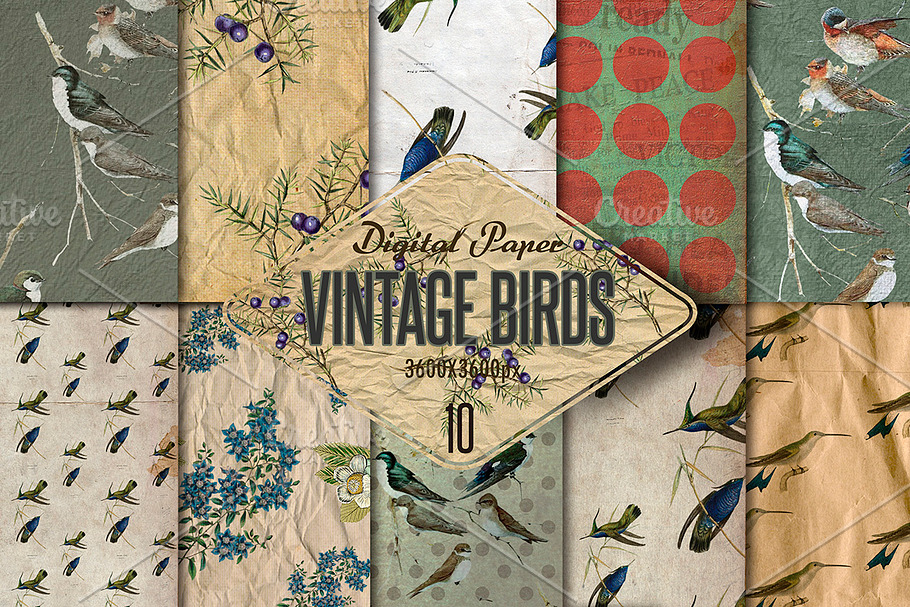 Vintage Birds- 10 Digital paper