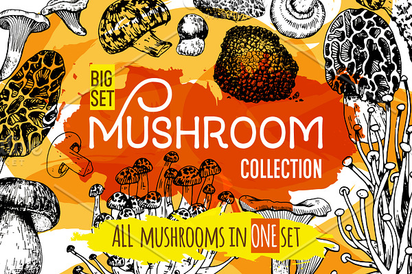 Mushrooms. Big set. 84 objects