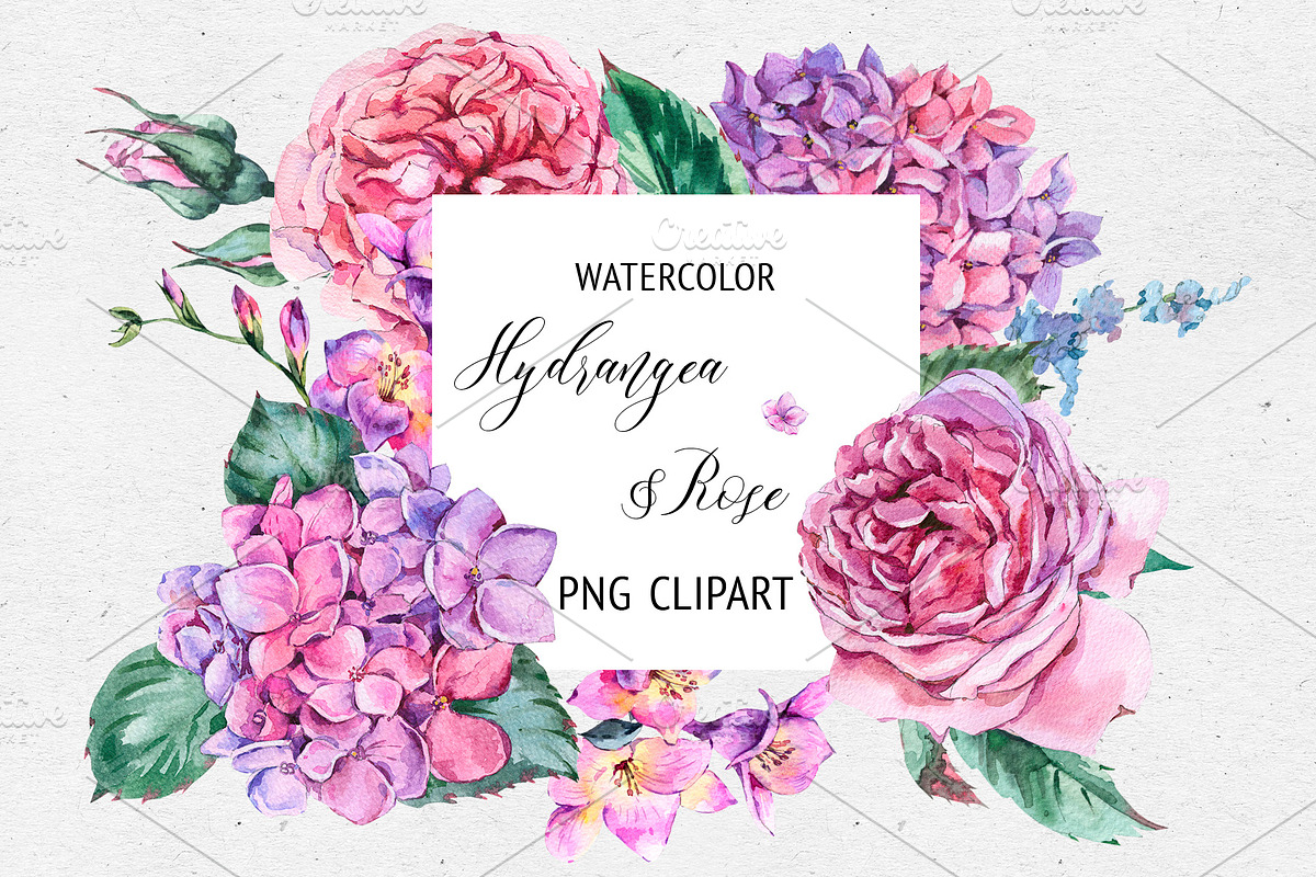 Watercolor Hydrngea and Roses in Illustrations - product preview 8