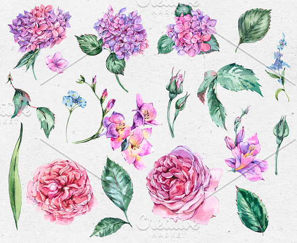 Watercolor Hydrngea and Roses in Illustrations - product preview 1