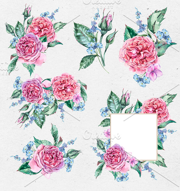 Watercolor Hydrngea and Roses in Illustrations - product preview 3