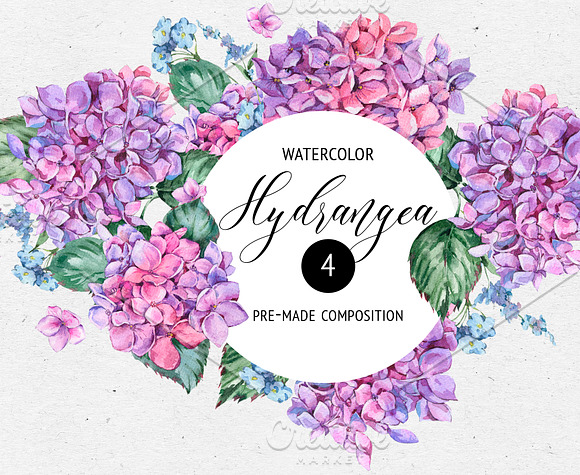 Watercolor Hydrngea and Roses in Illustrations - product preview 4