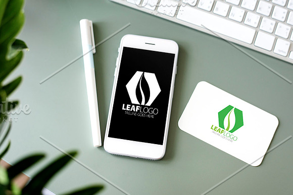 Leaf Logo in Logo Templates - product preview 2