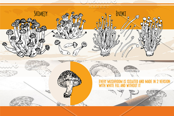 Mushrooms. Big set. 84 objects in Illustrations - product preview 2