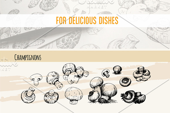 Mushrooms. Big set. 84 objects in Illustrations - product preview 4