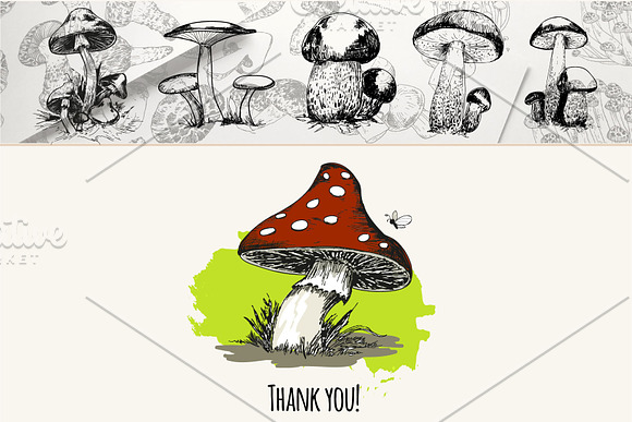 Mushrooms. Big set. 84 objects in Illustrations - product preview 6