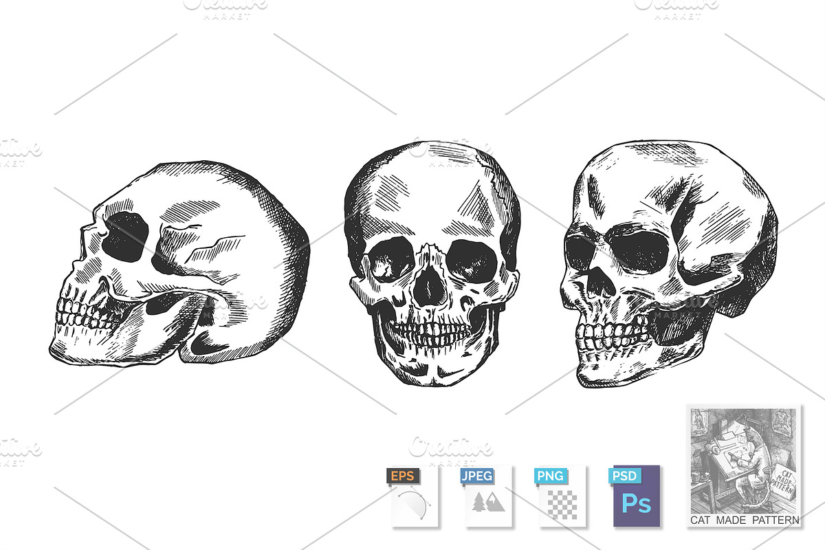 Human skull in different position in Illustrations - product preview 8