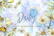 Watercolor Daisy PNG set