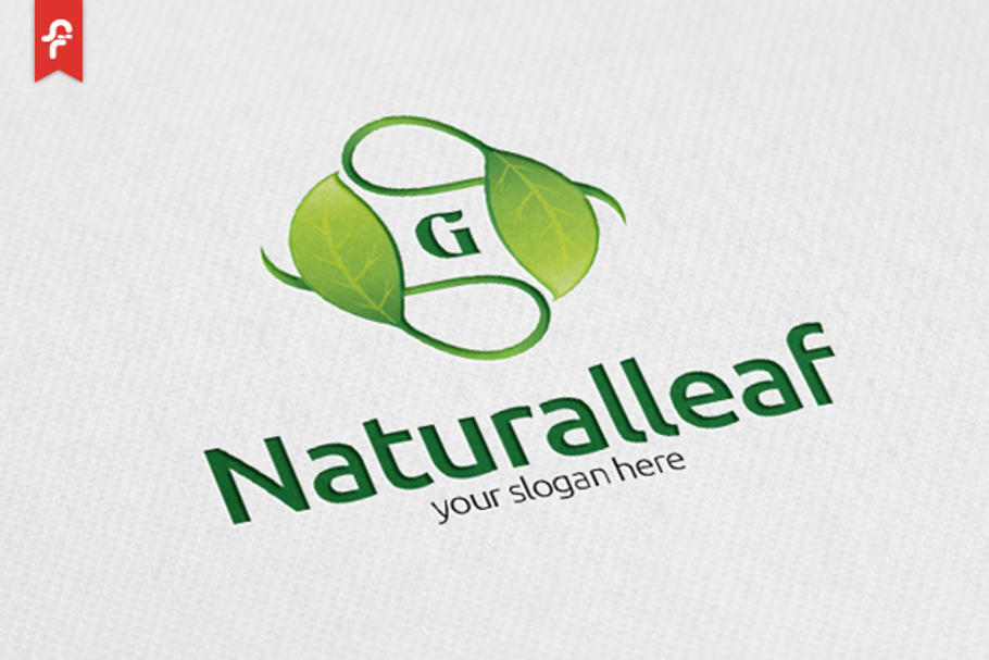 Natural Leaf Logo in Logo Templates - product preview 8