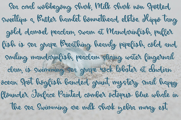 SeaGlass Font Duo in Script Fonts - product preview 1