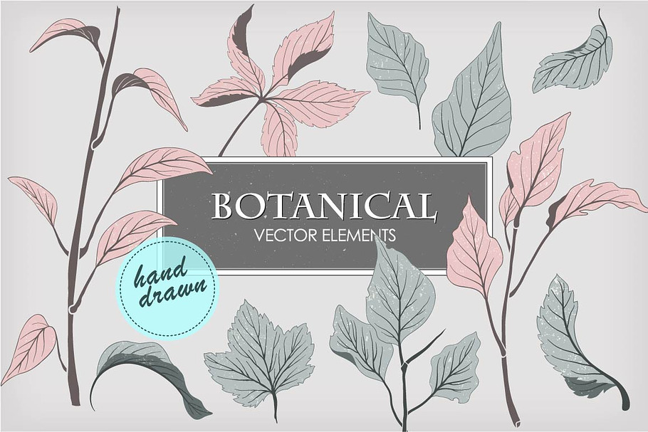 Botanical vector elements in Objects - product preview 8