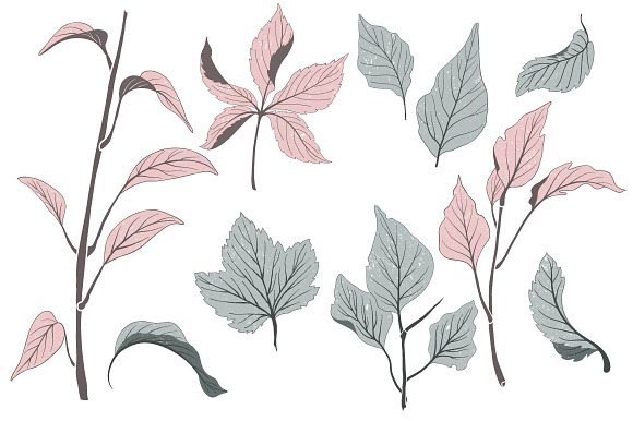 Botanical vector elements in Objects - product preview 1