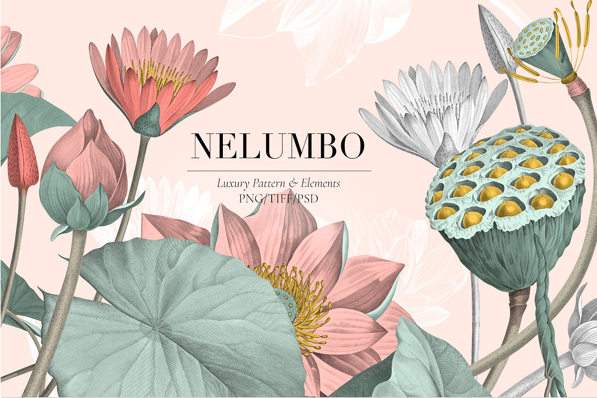 Nelumbo, Luxury Pattern & Motifs in Patterns - product preview 8